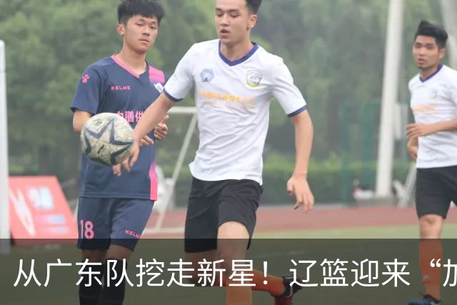 从广东队挖走新星！辽篮迎来“加强版杜润旺”，杜锋失去锋线人才